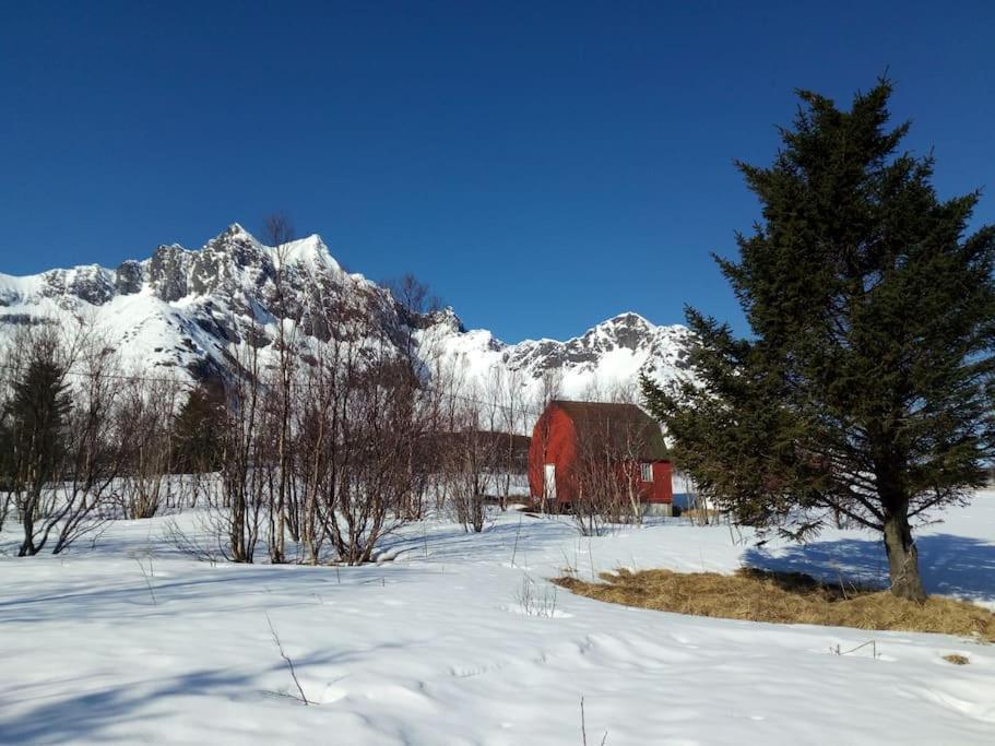 Cozy Apartment Between Sea And Mountains Mefjordvaer Екстер'єр фото