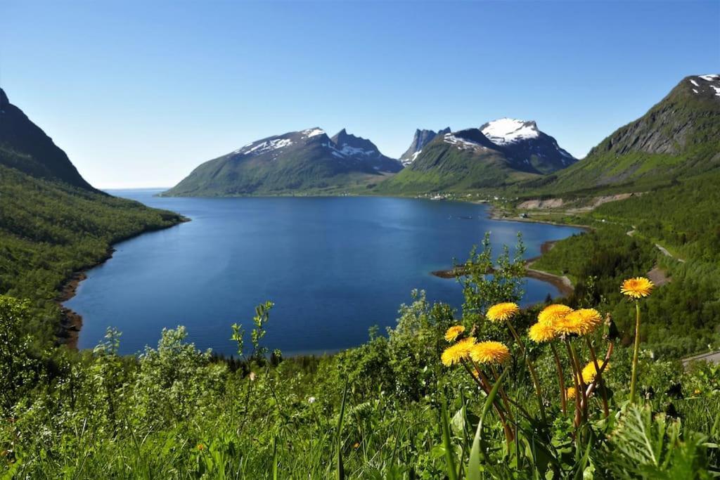Cozy Apartment Between Sea And Mountains Mefjordvaer Екстер'єр фото